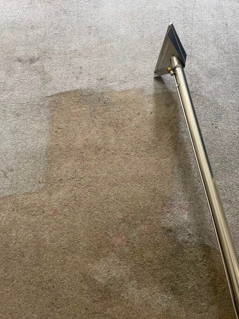 Carpet cleaning by Merlin's Cleaning Services