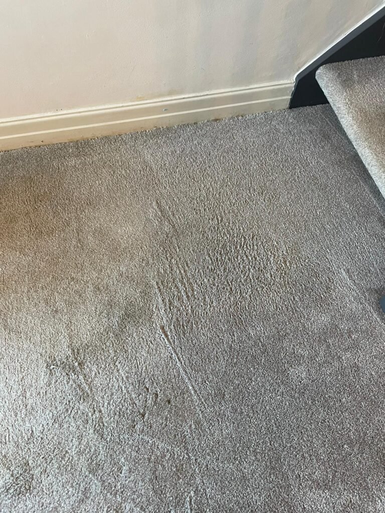 Rug cleaning by Merlin's Cleaning Services